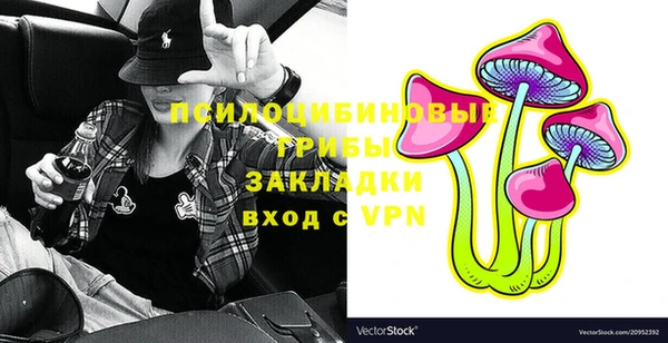 ГАЛЛЮЦИНОГЕННЫЕ ГРИБЫ Алзамай