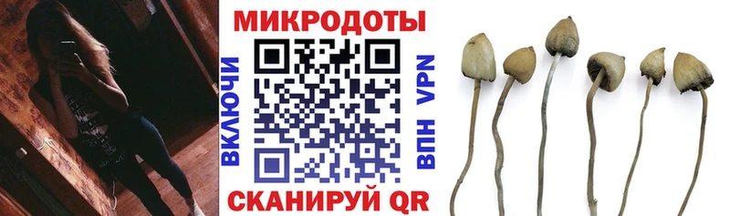 Галлюциногенные грибы Psilocybe  kraken ТОР  дарк нет наркотические препараты  Курск 